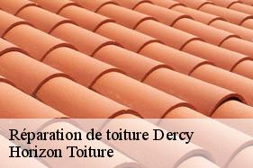 Réparation de toiture dercy-02270 Horizon Toiture