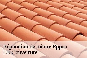 Réparation de toiture  eppes-02840 LB Couverture