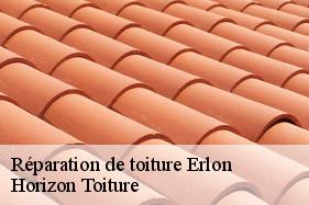 Réparation de toiture erlon-02250 Horizon Toiture