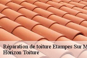 Réparation de toiture etampes-sur-marne-02400 Horizon Toiture