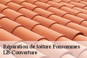Réparation de toiture  fonsommes-02110 LB Couverture