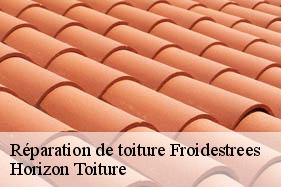 Réparation de toiture froidestrees-02260 Horizon Toiture