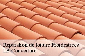 Réparation de toiture  froidestrees-02260 LB Couverture