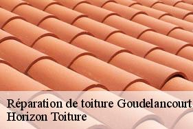 Réparation de toiture goudelancourt-les-berrieux-02820 Horizon Toiture