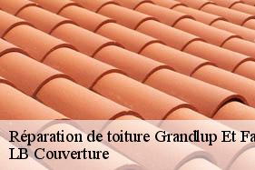 Réparation de toiture  grandlup-et-fay-02350 LB Couverture