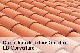 Réparation de toiture  grisolles-02210 LB Couverture