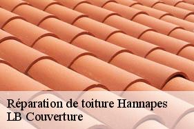 Réparation de toiture  hannapes-02510 LB Couverture