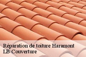 Réparation de toiture  haramont-02600 LB Couverture