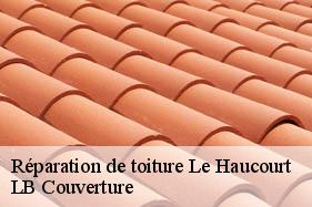 Réparation de toiture  le-haucourt-02420 LB Couverture
