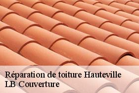 Réparation de toiture  hauteville-02120 LB Couverture