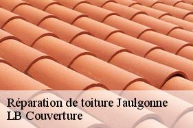 Réparation de toiture  jaulgonne-02850 LB Couverture