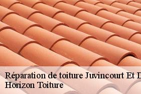 Réparation de toiture juvincourt-et-damary-02190 Horizon Toiture