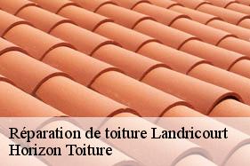 Réparation de toiture landricourt-02380 Horizon Toiture