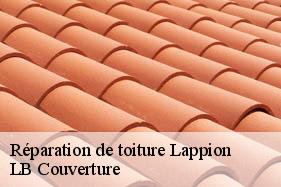 Réparation de toiture  lappion-02150 LB Couverture