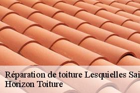 Réparation de toiture lesquielles-saint-germain-02120 Horizon Toiture