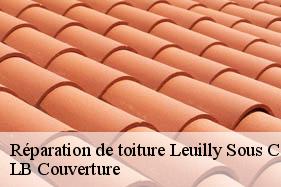 Réparation de toiture  leuilly-sous-coucy-02380 LB Couverture