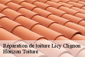 Réparation de toiture licy-clignon-02810 Horizon Toiture