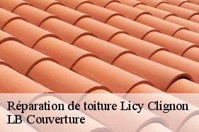 Réparation de toiture  licy-clignon-02810 LB Couverture