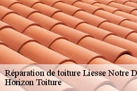 Réparation de toiture liesse-notre-dame-02350 Horizon Toiture