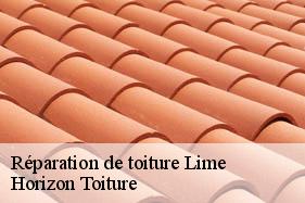 Réparation de toiture lime-02220 Horizon Toiture