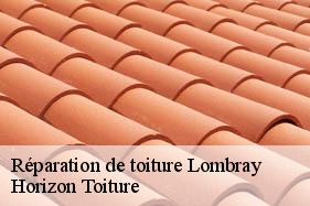 Réparation de toiture lombray-02300 Horizon Toiture
