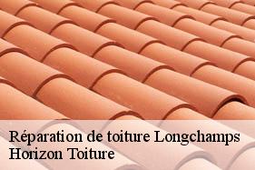 Réparation de toiture longchamps-02120 Horizon Toiture