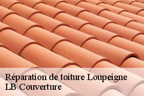 Réparation de toiture  loupeigne-02130 LB Couverture