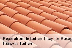 Réparation de toiture lucy-le-bocage-02400 Horizon Toiture