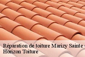 Réparation de toiture marizy-sainte-genevieve-02470 Horizon Toiture