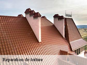 Réparation de toiture