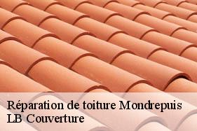 Réparation de toiture  mondrepuis-02500 LB Couverture
