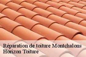 Réparation de toiture montchalons-02860 Horizon Toiture