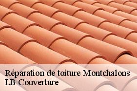 Réparation de toiture  montchalons-02860 LB Couverture