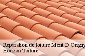 Réparation de toiture mont-d-origny-02390 Horizon Toiture