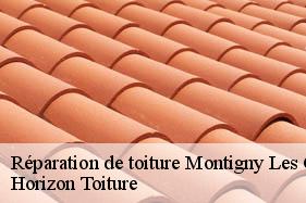 Réparation de toiture montigny-les-conde-02330 Horizon Toiture