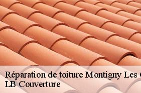 Réparation de toiture  montigny-les-conde-02330 LB Couverture