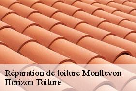 Réparation de toiture montlevon-02330 Horizon Toiture