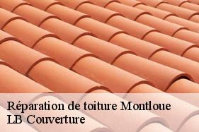 Réparation de toiture  montloue-02340 LB Couverture