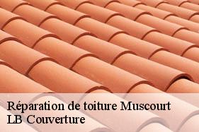 Réparation de toiture  muscourt-02160 LB Couverture