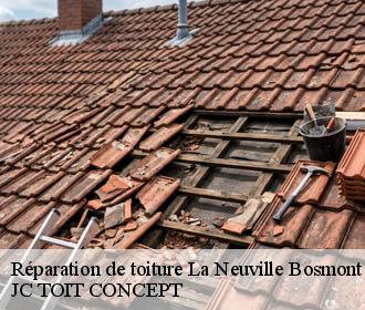 Réparation de toiture  la-neuville-bosmont-02250 JC TOIT CONCEPT