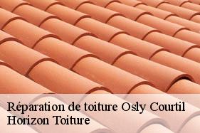 Réparation de toiture osly-courtil-02290 Horizon Toiture