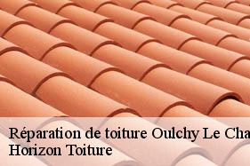 Réparation de toiture oulchy-le-chateau-02210 Horizon Toiture