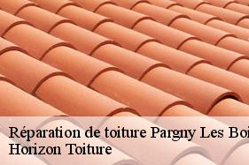 Réparation de toiture pargny-les-bois-02270 Horizon Toiture