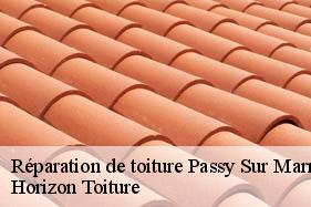 Réparation de toiture passy-sur-marne-02850 Horizon Toiture