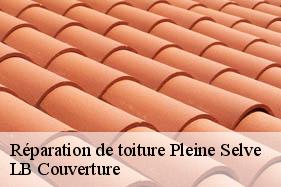 Réparation de toiture  pleine-selve-02240 LB Couverture