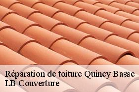 Réparation de toiture  quincy-basse-02380 LB Couverture