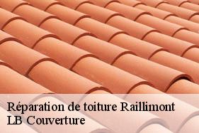 Réparation de toiture  raillimont-02360 LB Couverture