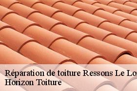 Réparation de toiture ressons-le-long-02290 Horizon Toiture