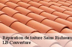 Réparation de toiture  sains-richaumont-02120 LB Couverture