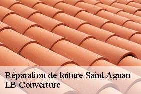 Réparation de toiture  saint-agnan-02330 LB Couverture